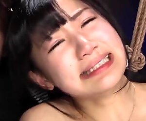 Port Group Drops Swimsuit Competition Swimming Club Estrus